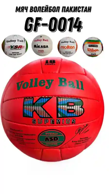  МЯЧ ВОЛЕЙБОЛЬНЫЙ ПАКИСТАН GF-0014