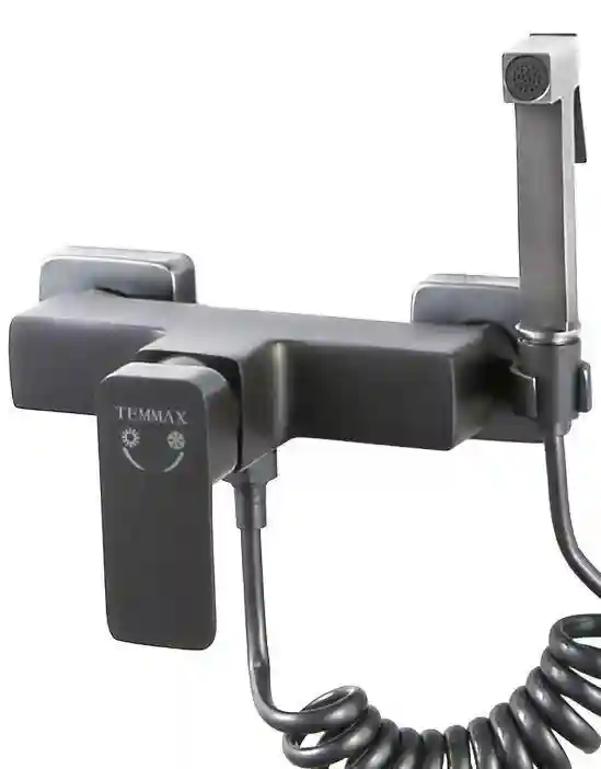 TEMMAX смеситель для биде TM-205-2 (сатин)