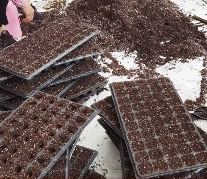 Кассета для рассады 10 шт, пластик