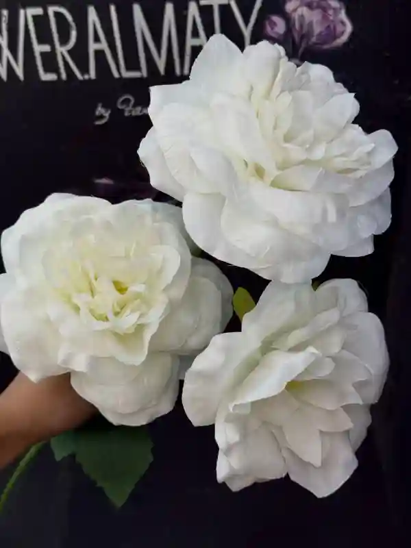 Роза раскрытая (15см голова)