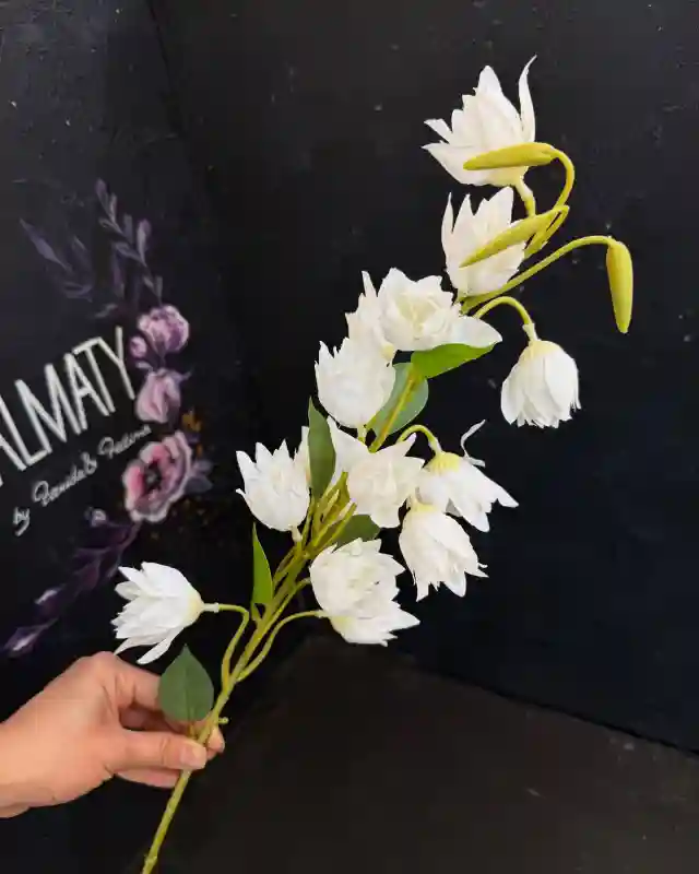 Юкка садовая