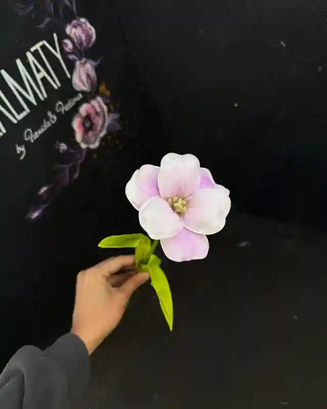 Тюльпан раскрытый