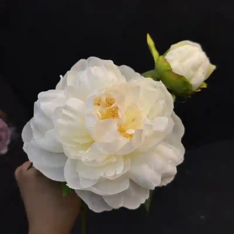 Искусственные цветы Пион