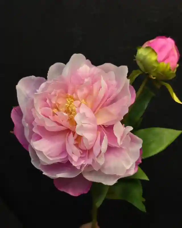 Искусственные цветы Пион