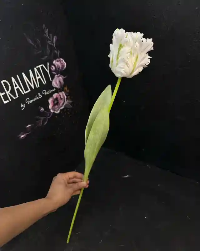 Искусственные цветы Тюльпан кудрявый