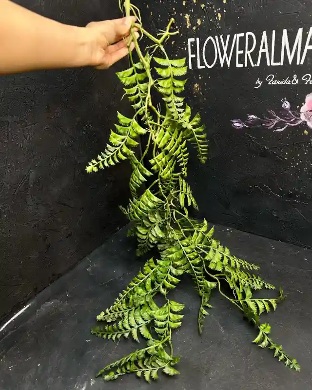 Искусственные цветы Свисающий папоротник