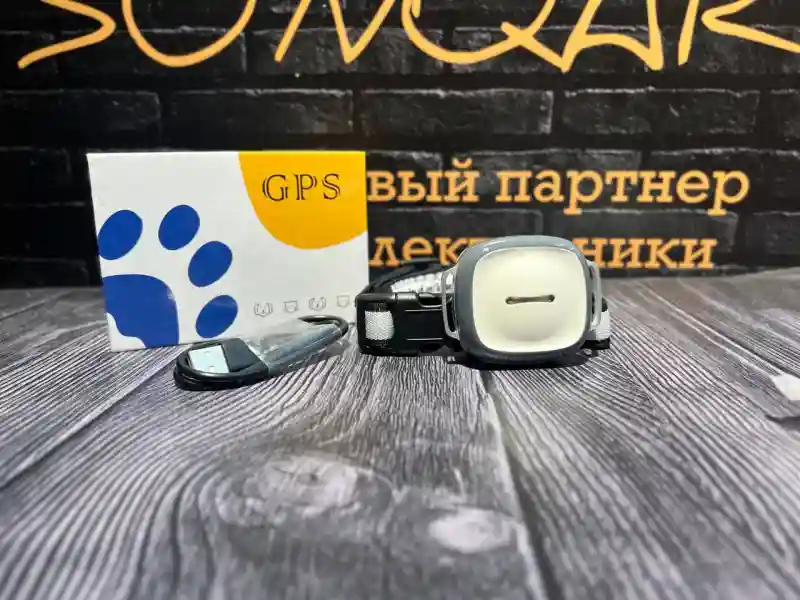 GPS-трекер для домашних животных