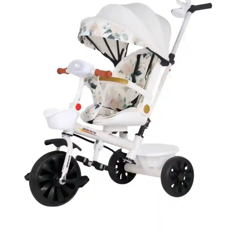 18142 RX-213D велосипед трехколесный с козырьком