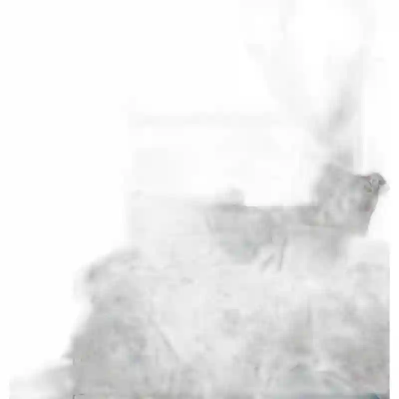 18212 Комплект постельного белья (голубое с цветами)