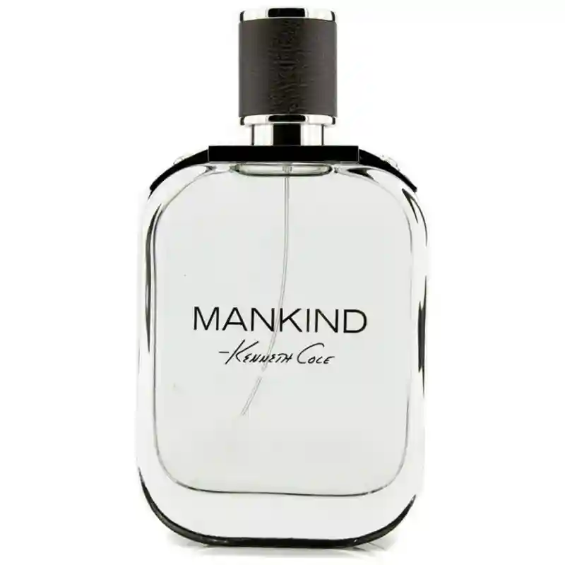 Туалетная вода KENNETH COLE MANKING edt (M) 100ml