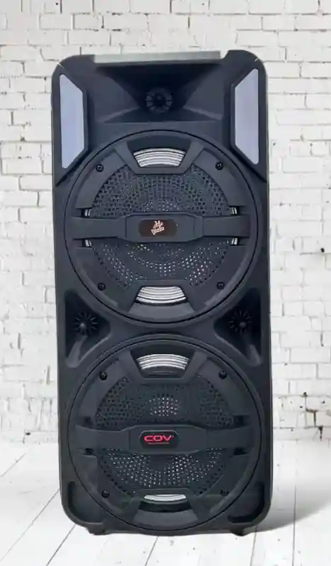 Активная акустическая колонка COV с двойным динамиком (Party Speaker)