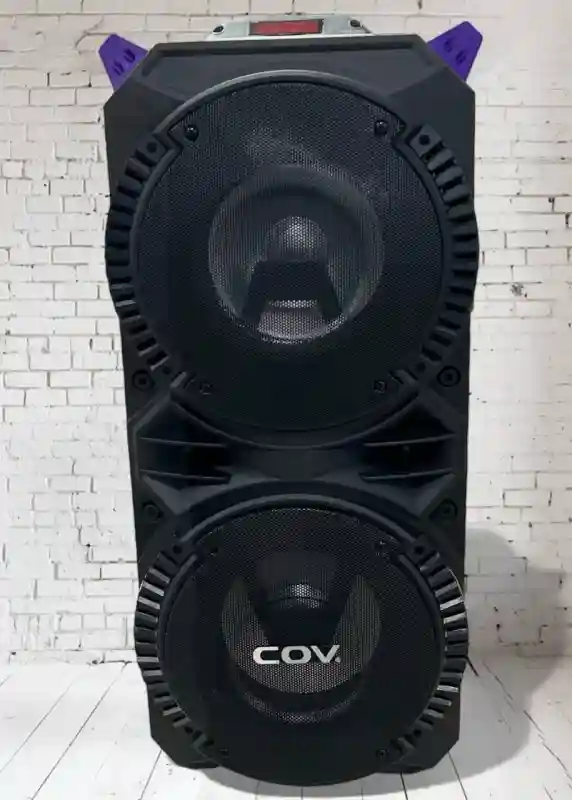 Активная акустическая колонка COV с двумя динамиками (Professional Party Speaker