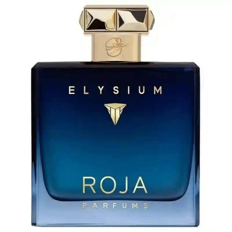 Парфюмерная вода ROJA PARFUMS  ELYSIUM   ( M )   EAU DE PARFUM   100ml